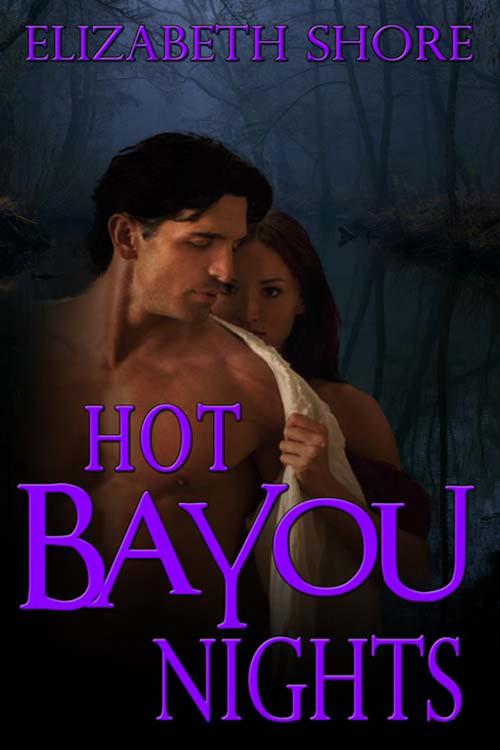 Cover of the book Hot Bayou Nights by Elizabeth Shore, The Wild Rose Press, Inc.