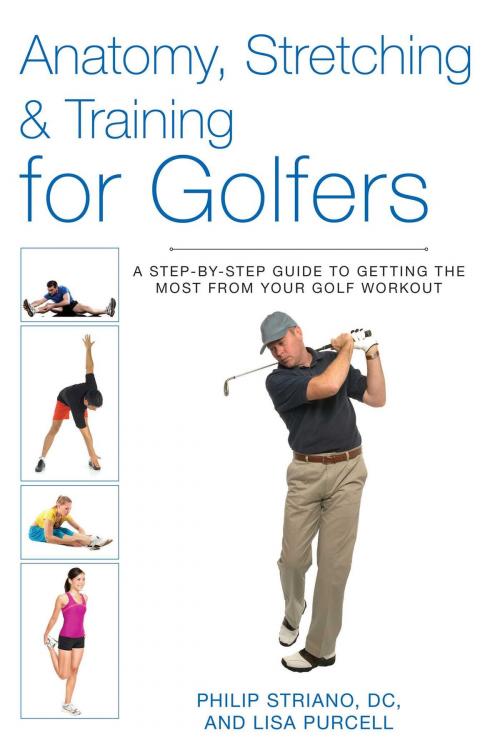 Cover of the book Anatomy, Stretching & Training for Golfers by Philip Striano, Dr., Skyhorse