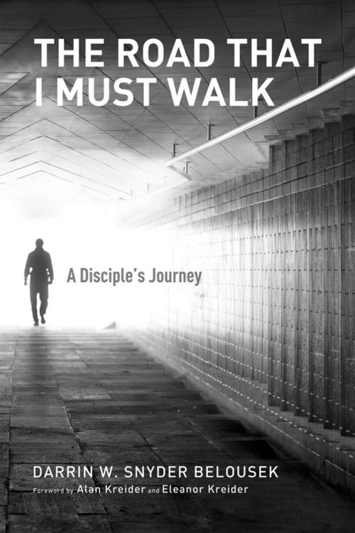 Cover of the book The Road That I Must Walk by Darrin W. Snyder Belousek, Wipf and Stock Publishers