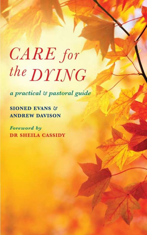 Cover of the book Care for the Dying by Andrew Davison, Sioned Evans, Wipf and Stock Publishers