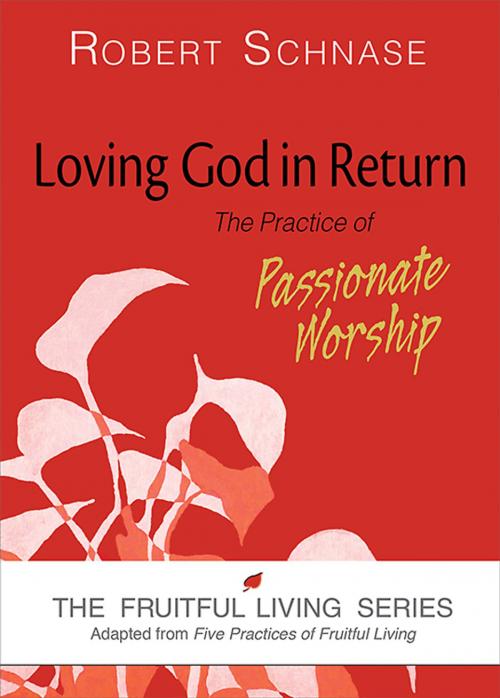Cover of the book Loving God in Return by Robert Schnase, Abingdon Press