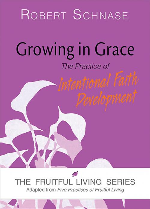Cover of the book Growing in Grace by Robert Schnase, Abingdon Press