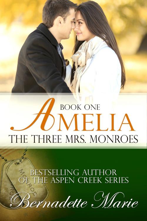 Cover of the book Amelia by Bernadette Marie, 5 Prince Publishing