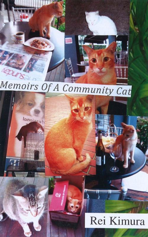 Cover of the book Memoirs of a Community Cat by Rei Kimura, booksmango
