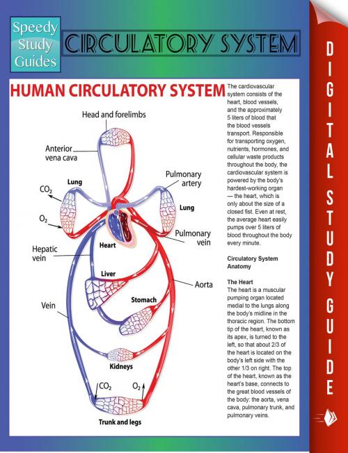 Cover of the book Circulatory System (Speedy Study Guides) by Speedy Publishing, Speedy Publishing LLC
