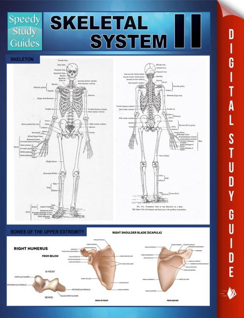 Cover of the book Skeletal System II (Speedy Study Guides) by Speedy Publishing, Speedy Publishing LLC