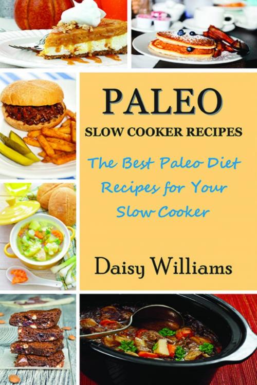 Cover of the book Paleo Slow Cooker Recipes by Daisy Williams, Mojo Enterprises