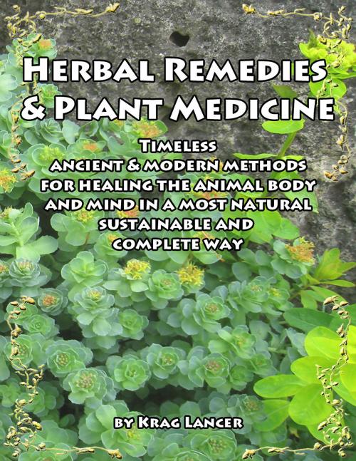 Cover of the book Herbal Remedies & Plant Medicine by Krag Lancer, Krag Lancer
