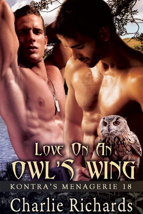 Cover of the book Love on an Owl's Wing by Charlie Richards, eXtasy Books Inc