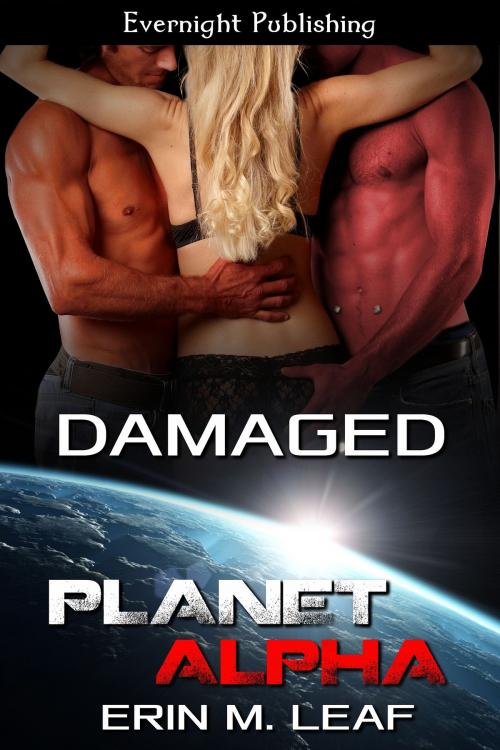 Cover of the book Damaged by Erin M. Leaf, Evernight Publishing