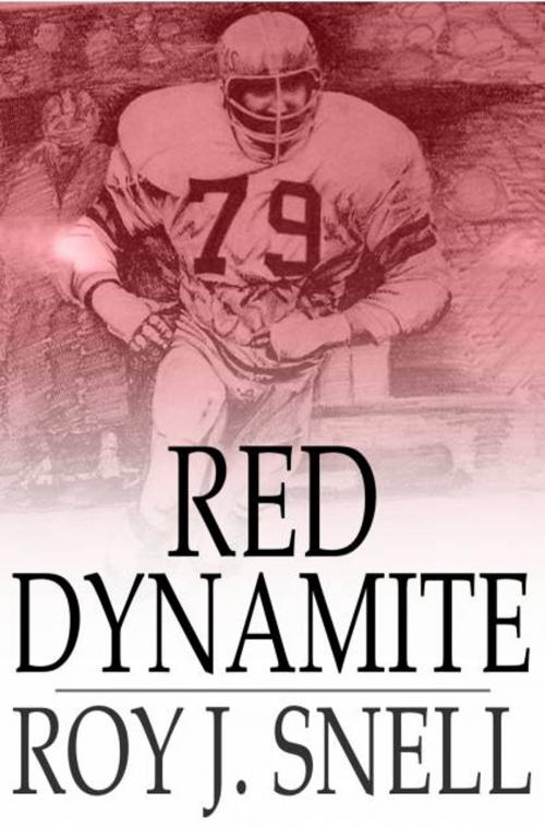 Cover of the book Red Dynamite by Roy J. Snell, The Floating Press