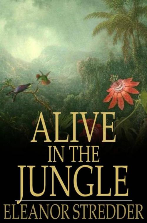 Cover of the book Alive in the Jungle by Eleanor Stredder, The Floating Press