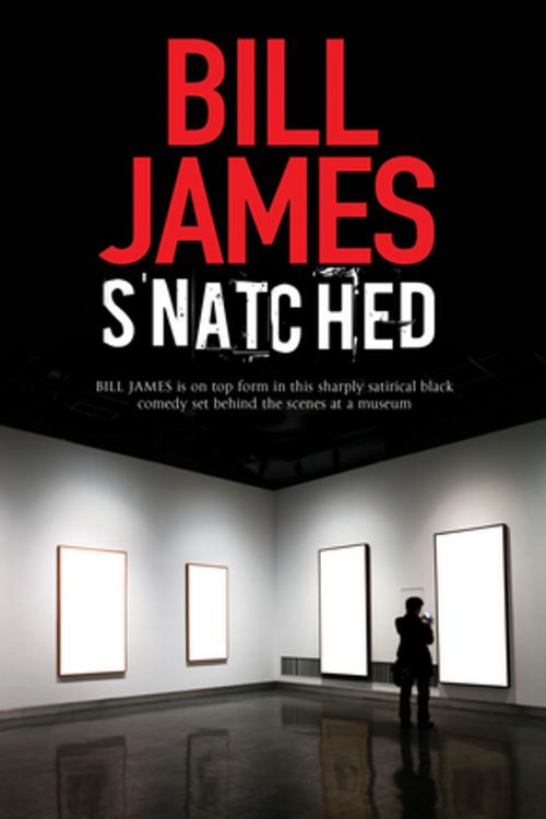 Cover of the book Snatched by Bill James, Severn House Publishers