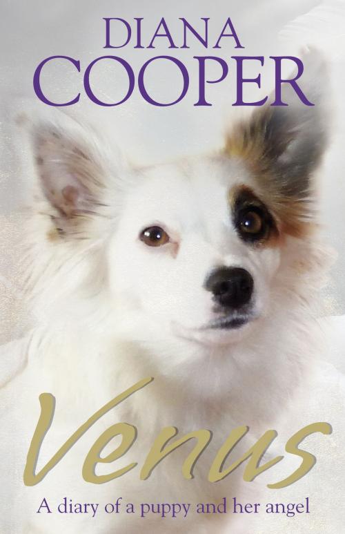 Cover of the book Venus by Diana Cooper, Hay House