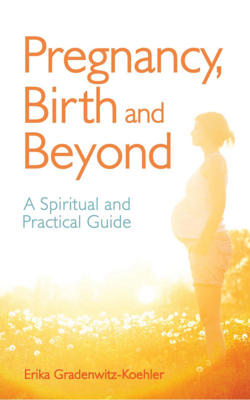 Cover of the book Pregnancy, Birth and Beyond by Erika Gradenwitz-Koehler, Floris Books