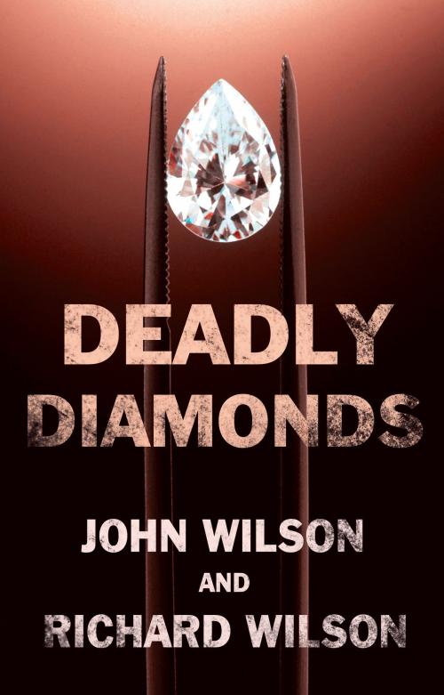 Cover of the book Deadly Diamonds by John Wilson, Richard Wilson, Troubador Publishing Ltd