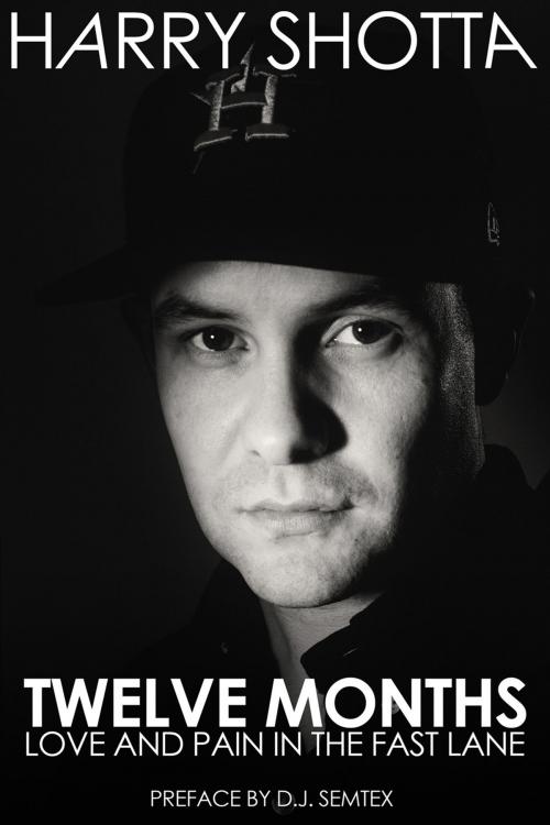 Cover of the book Twelve Months by Harry Shotta, Andrews UK
