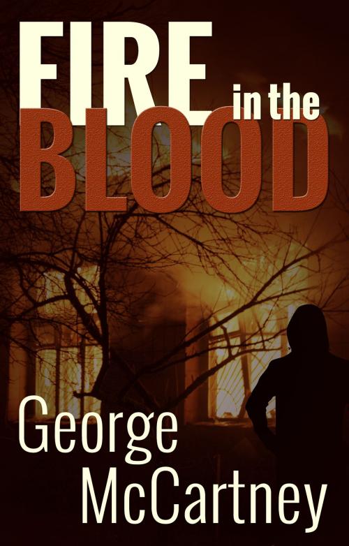 Cover of the book Fire in the Blood by George McCartney, Troubador Publishing Ltd
