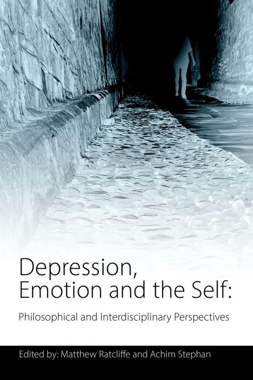 Cover of the book Depression, Emotion and the Self by Matthew Ratcliffe, Andrews UK