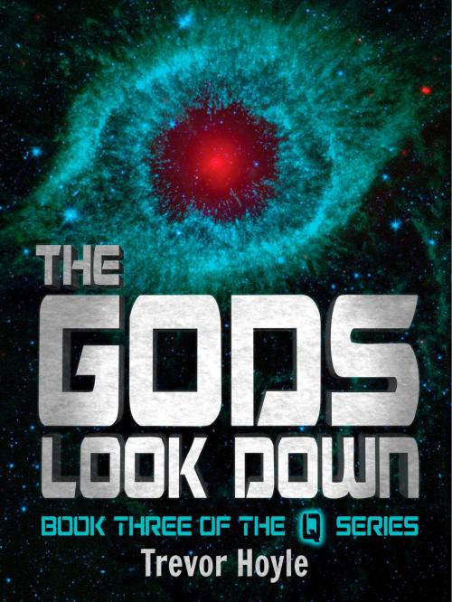 Cover of the book The Gods Look Down by Trevor Hoyle, Quercus Publishing