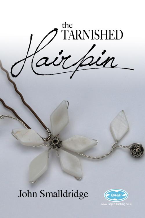 Cover of the book The Tarnished Hairpin by John Smalldridge, Andrews UK