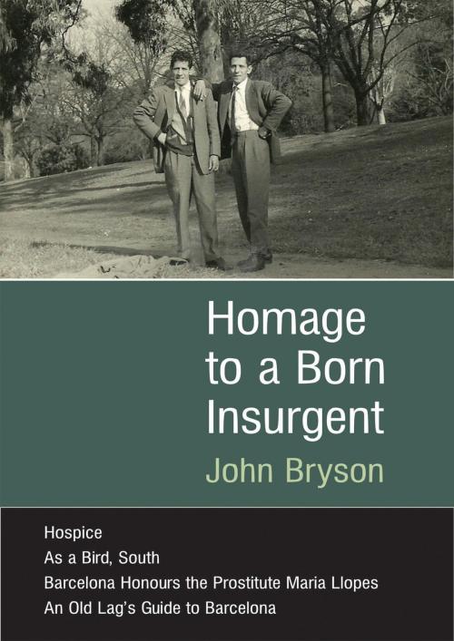 Cover of the book Homage to a Born Insurgent by John Bryson, John Bryson