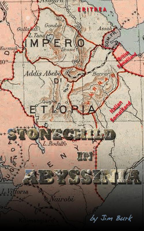 Cover of the book Stonechild in Abyssinia by Jim Burk, Jim Burk