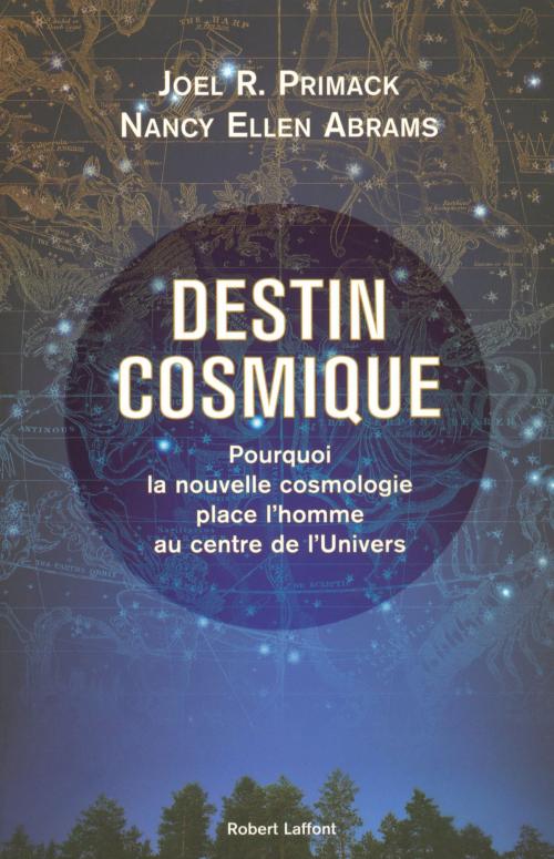 Cover of the book Destin cosmique by Nancy Ellen ABRAMS, Joel R PRIMACK, Groupe Robert Laffont