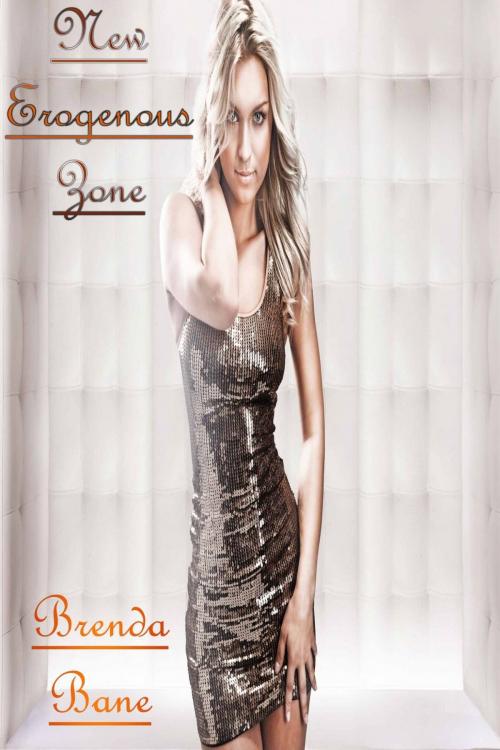 Cover of the book New Erogenous Zone by Brenda Bane, Caaningtown