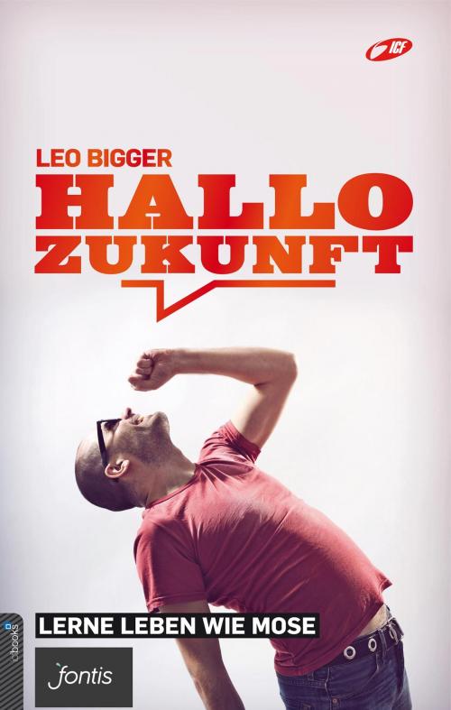 Cover of the book Hallo Zukunft by Nicu Bachmann, Johannes Hoffmann ICF Zürich, Leo Bigger, Fontis  Brunnen Basel