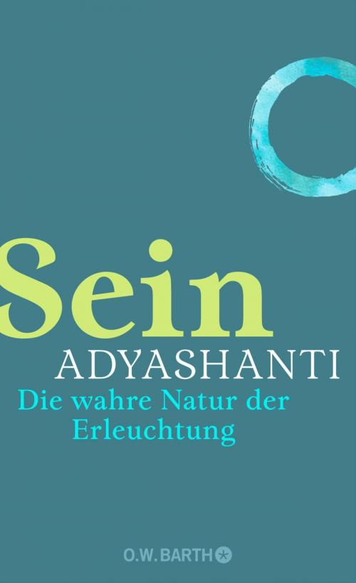 Cover of the book Sein by Adyashanti, O.W. Barth eBook