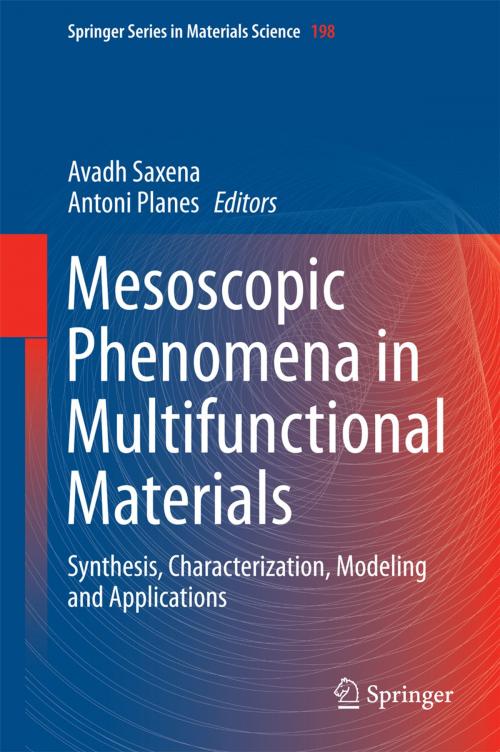 Cover of the book Mesoscopic Phenomena in Multifunctional Materials by , Springer Berlin Heidelberg