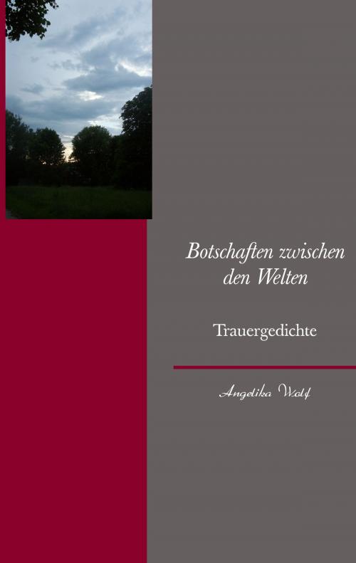 Cover of the book Botschaften zwischen den Welten by Angelika Wolf, Books on Demand