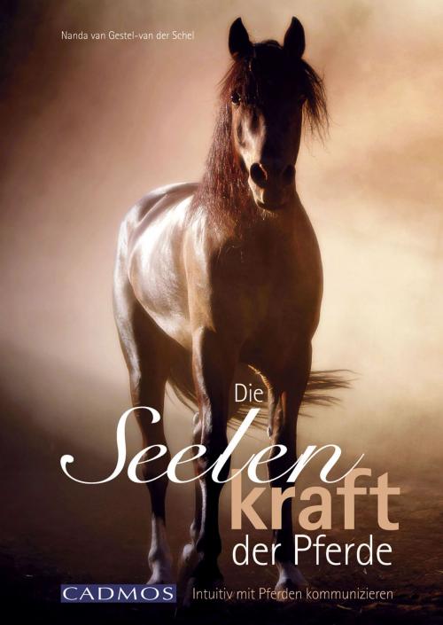 Cover of the book Die Seelenkraft der Pferde by Nanda van Gestel-van der Schel, Cadmos Verlag