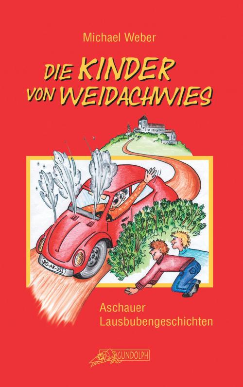 Cover of the book Die Kinder von Weidachwies by Michael Weber, Books on Demand