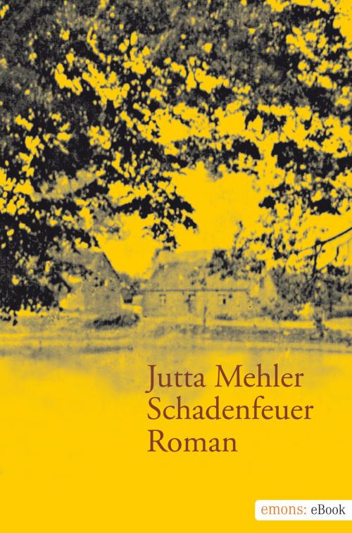 Cover of the book Schadenfeuer by Jutta Mehler, Emons Verlag