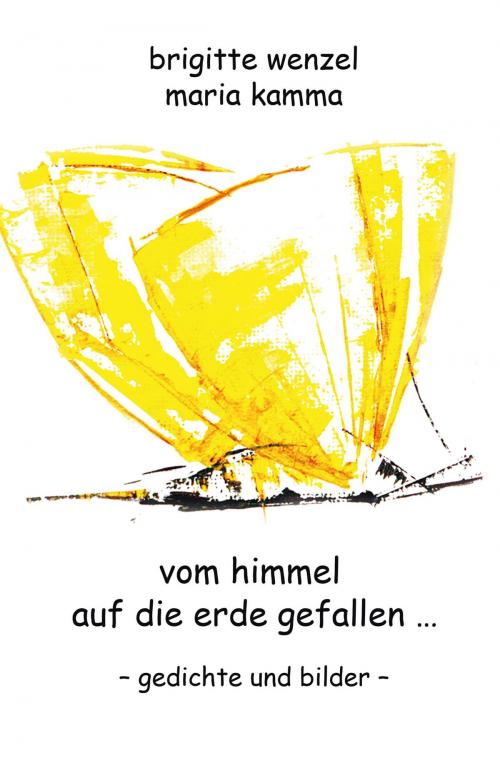 Cover of the book vom himmel auf die erde gefallen by Brigitte Wenzel, Verlag Kern