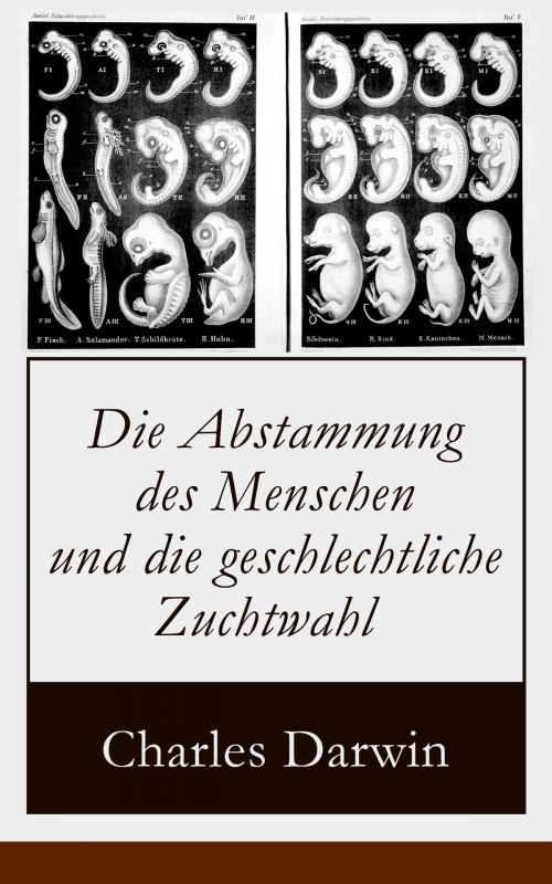 Cover of the book Die Abstammung des Menschen und die geschlechtliche Zuchtwahl by Charles Darwin, e-artnow