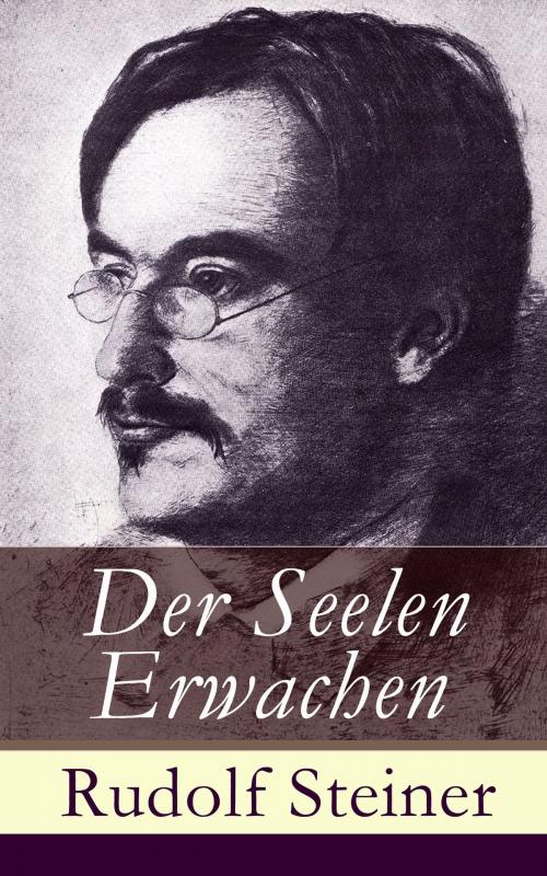 Cover of the book Der Seelen Erwachen by Rudolf Steiner, e-artnow