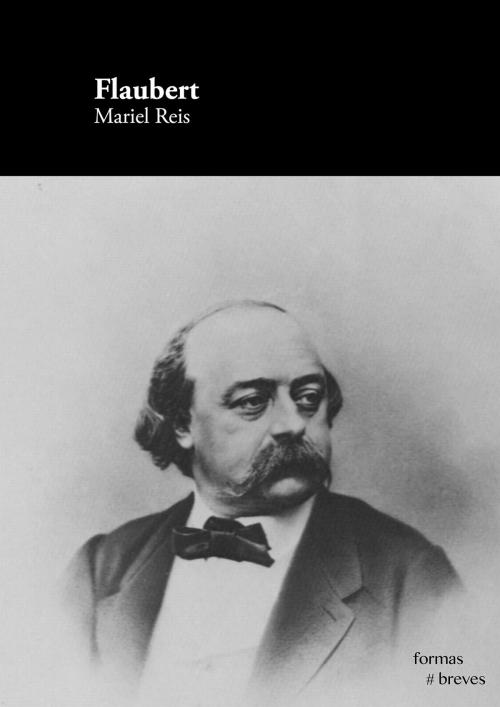 Cover of the book Flaubert by Mariel Reis, e-galáxia