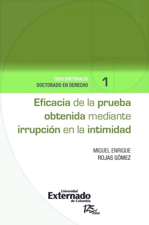 Cover of the book Eficacia de la prueba obtenida mediante irrupción en la intimidad by Miguel Enrique Rojas Gómez, Universidad externado de Colombia
