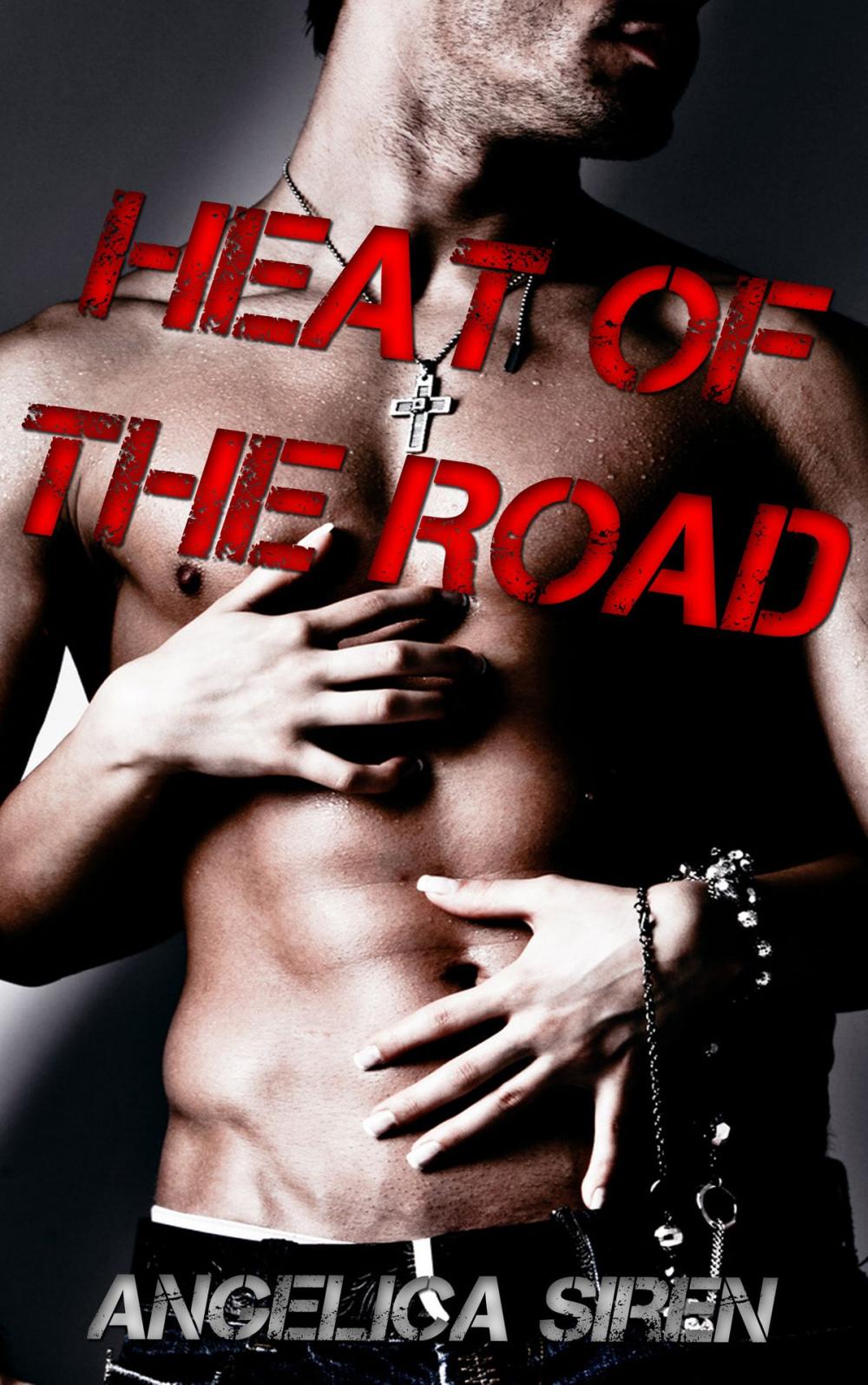 Big bigCover of Heat of the Road (The Demon Hounds Motorcycle Club)