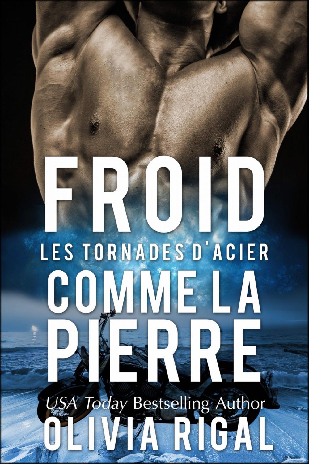 Big bigCover of Froid comme la pierre