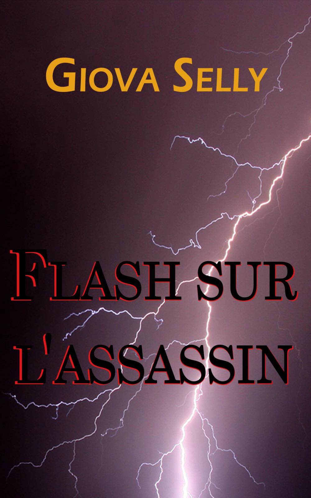 Big bigCover of Flash sur l'Assassin