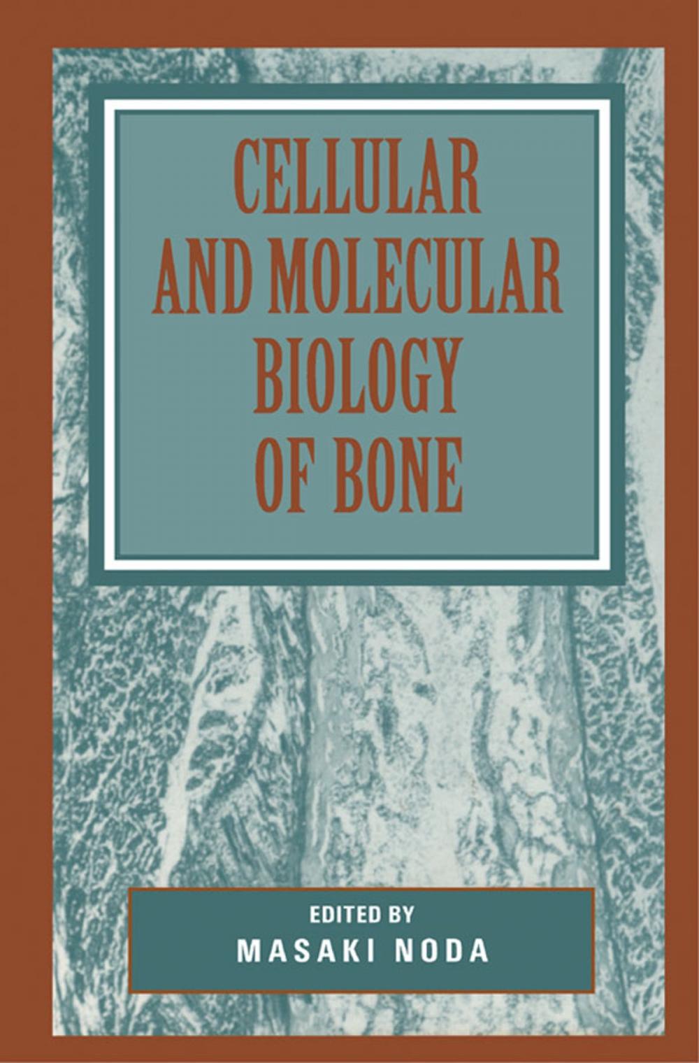 Big bigCover of Cellular and Molecular Biology of Bone