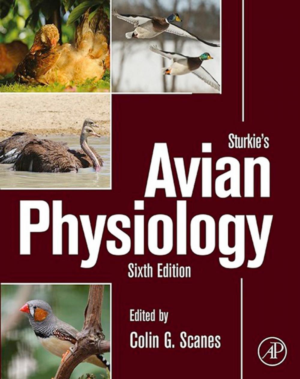 Big bigCover of Sturkie's Avian Physiology
