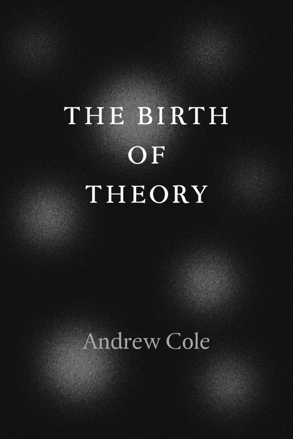 Big bigCover of The Birth of Theory