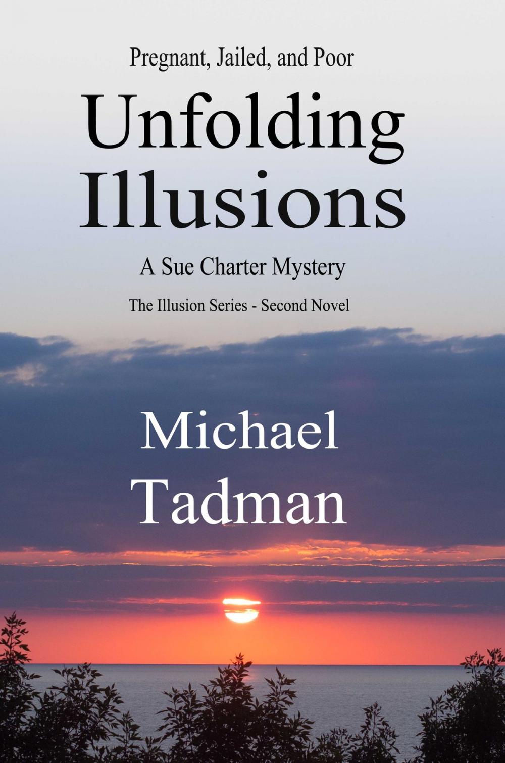 Big bigCover of Unfolding Illusions
