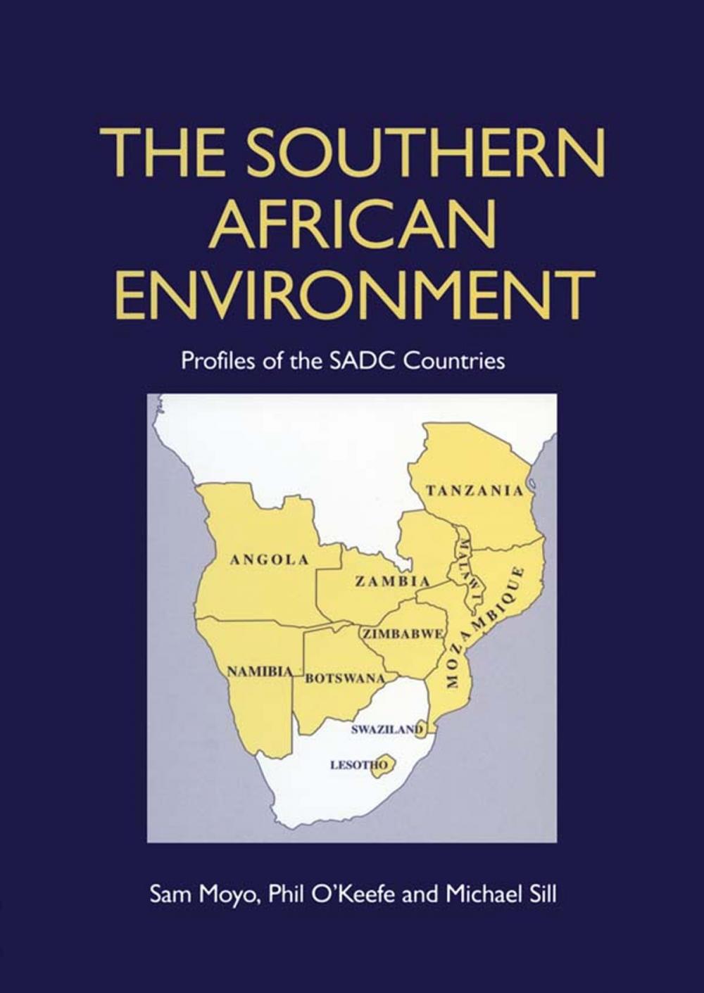 Big bigCover of The Southern African Environment