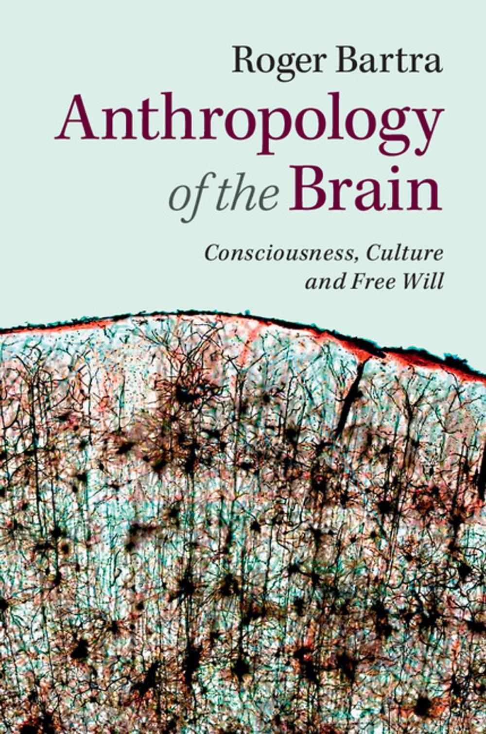 Big bigCover of Anthropology of the Brain